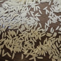 供应人造米设备/人造米生产设备