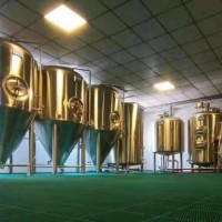 河北优质精酿啤酒设备厂免费酿酒技术培训