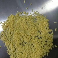 膨化食品雪花片加工机械