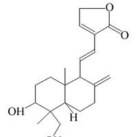 脱水穿心莲内酯 穿心莲丁素 对照品 标准品 HPLC≥98%