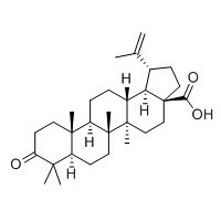 路路通酸 对照品 标准品 g级品 HPLC≥98%