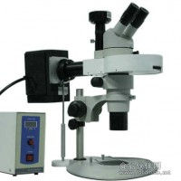数码荧光体视显微镜 MZX80