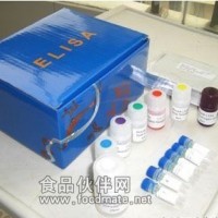 环磷酸腺苷(cAMP)ELISA试剂盒【酶联免疫法】