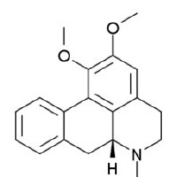 荷叶碱