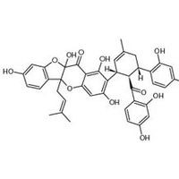 桑根酮D 对照品 标准品 HPLC≥98%