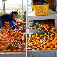电动连续式柑橘洗果机洗橘子脐橙砂糖橘机器