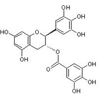 没食子儿茶素没食子酸酯 GCG