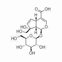 水晶兰苷 水晶兰甙 HPLC≥98%