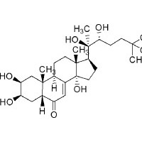 蜕皮激素