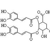 1,3-二咖啡酰奎宁酸 洋蓟素 洋蓟酸