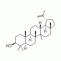 羽扇豆醇 HPLC≥98%