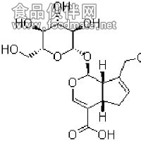 京尼平苷酸  京尼平甙酸；栀子苷酸；金尼泊甙酸  HPLC≥98%