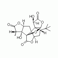 银杏内酯A