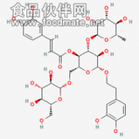 松果菊苷  松果菊甙、海胆苷