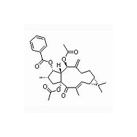 千金子二萜醇二乙酰苯甲酰酯 对照品 标准品 HPLC≥98%