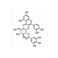 2”-O-没食子酰基金丝桃苷 对照品 标准品 HPLC≥98%