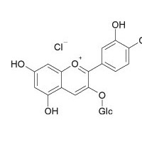 矢车菊素-3-O-葡萄糖苷 对照品 标准品 HPLC≥98%