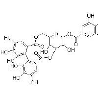 柯里拉京 鞣云实精，鞣料云实素 对照品 标准品 HPLC≥98%