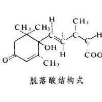 脱落酸 对照品 标准品 HPLC≥98%