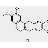 盐酸黄柏碱 黄柏碱盐酸盐  对照品 标准品 HPLC≥98%