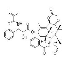 三尖杉宁碱 71610-00-9 对照品 标准品 HPLC≥98%