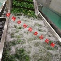地瓜叶连续漂烫机 地瓜叶速冻加工设备 蕨菜清洗漂烫线