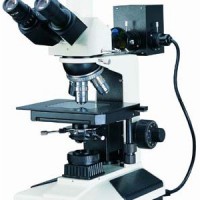 显微镜-金相显微镜MLT-33-金相分析-金相观察