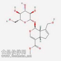 京尼平苷 Geniposide 24512-63-8 对照品