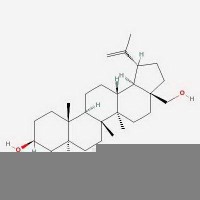 白桦脂醇Betulin 473-98-3  对照品