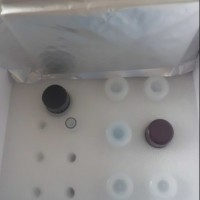 小鼠铁蛋白(FE)ELISA试剂盒