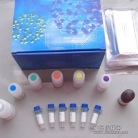 小鼠巨噬细胞炎性蛋白3α(MIP-3α/CCL20)ELISA试剂盒