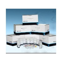 FZ1103 鼠尾直接PCR试剂盒Mouse Tail Direct PCR Kit(50)