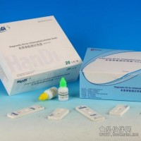 小鼠血红素氧合酶1试剂盒价格