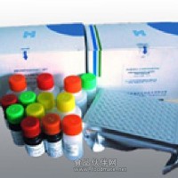 豚鼠白介素4 ELISA试剂盒