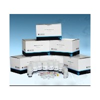 FZ1015 石蜡包埋组织基因组DNA提取试剂盒FFPE DNA Isolation Kit(50)