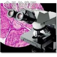 CX31CX41教学级奥林巴斯生物显微镜