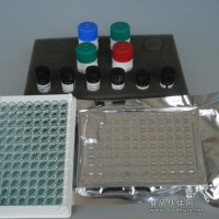 大鼠转铁蛋白受体价格TFR/CD71 Elisa试剂盒价格|Kit说明书