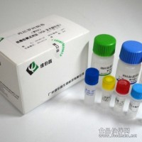 肉毒杆菌E/F型(BL-EF)核酸检测试剂盒(PCR-双色荧光探针法)