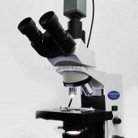 奥林巴斯显微镜CX31    CX31显微镜价格   底价现货显微镜