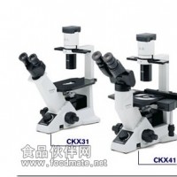 CKX31-A12PHP显微镜  奥林巴斯倒置显微镜 价格低