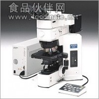 BX61金相显微镜（奥林巴斯）