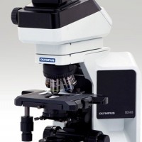 BX43奥林巴斯显微镜、正置荧光显微镜