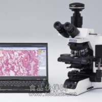 奥林巴斯显微镜BX53