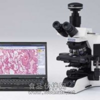 BX53-32P01显微镜价格      奥林巴斯显微镜   数码显微镜
