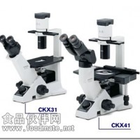 奥林巴斯倒置荧光显微镜CKX41-FL