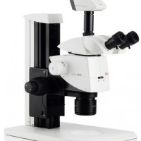 徕卡 M125体视显微镜现货，价格优势！