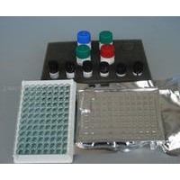 小鼠心肌营养素1(CT-1)ELISA试剂盒