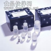 大鼠末端补体复合物C5b-9(TCC C5b-9)ELISA试剂盒