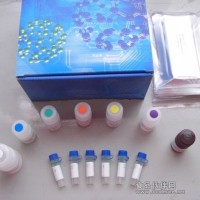 小鼠髓过氧化物酶(MPO)ELISA试剂盒