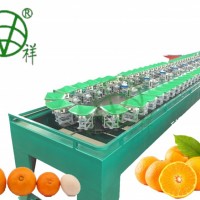 【新品】柑橘重量自动分选机【一年保修】